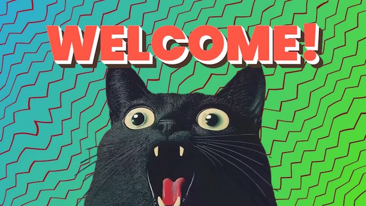 Crazy Cat Transition 10-Videos Pack image number null